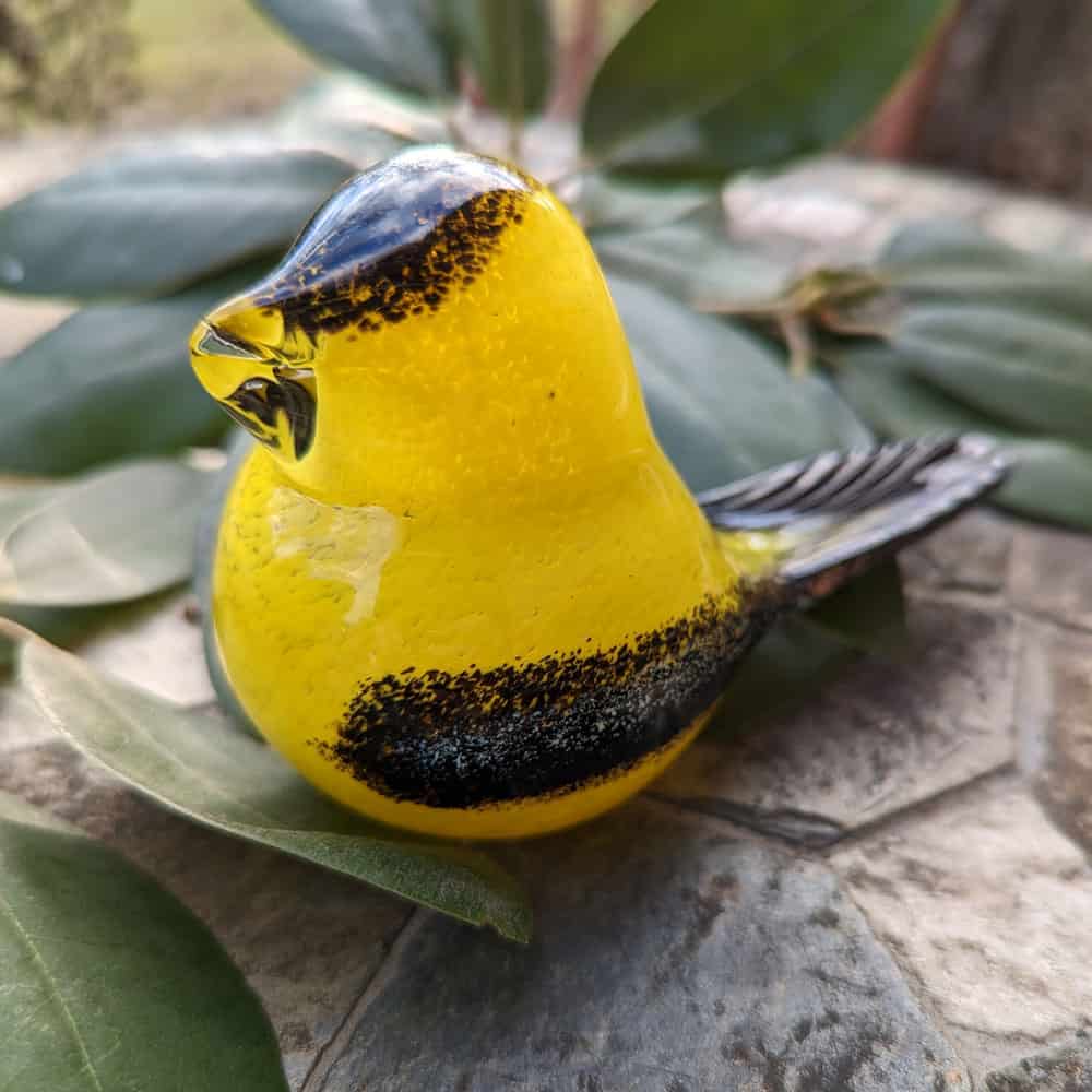 Dreamy Goldfinch Right Side View