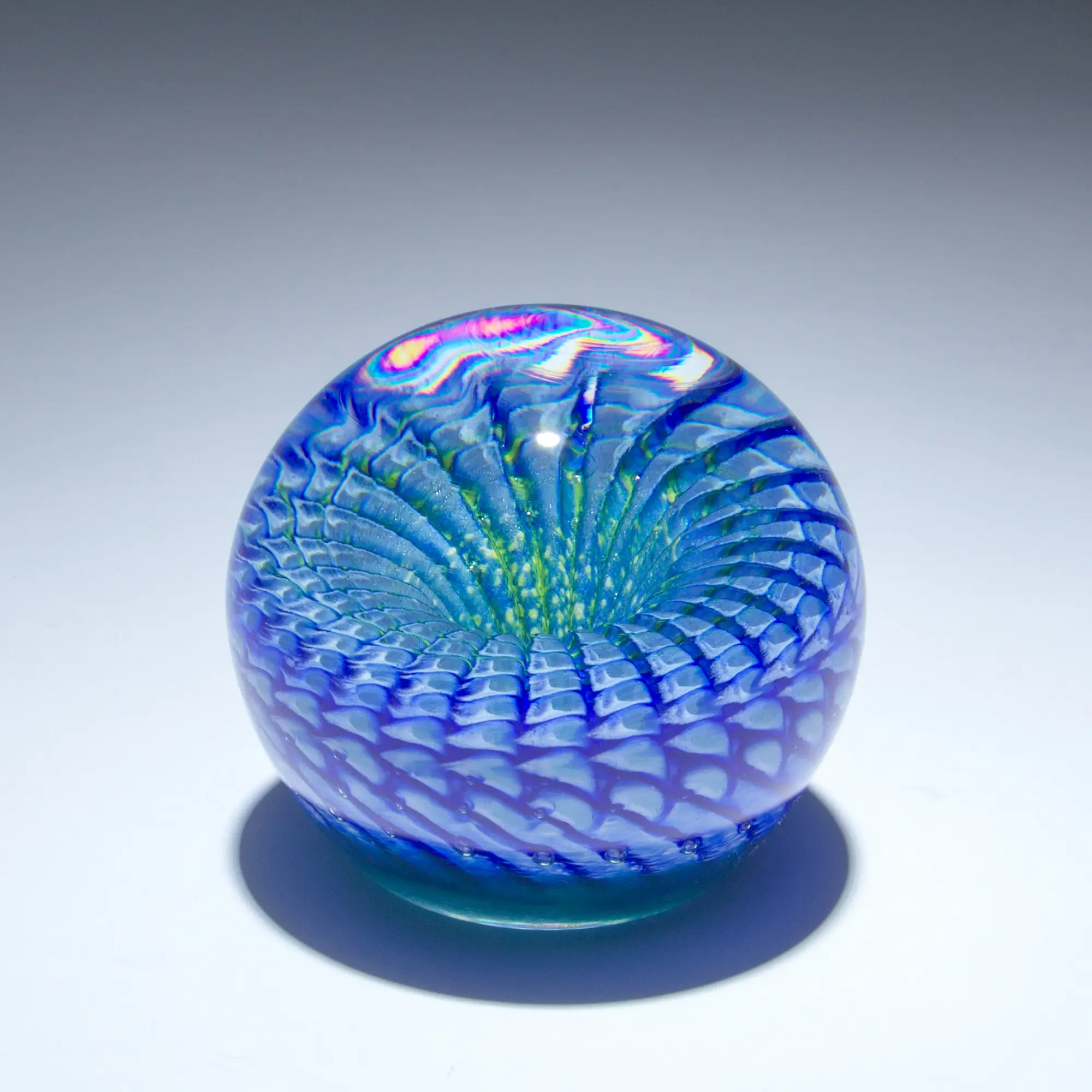 Blue Rattler Paperweight