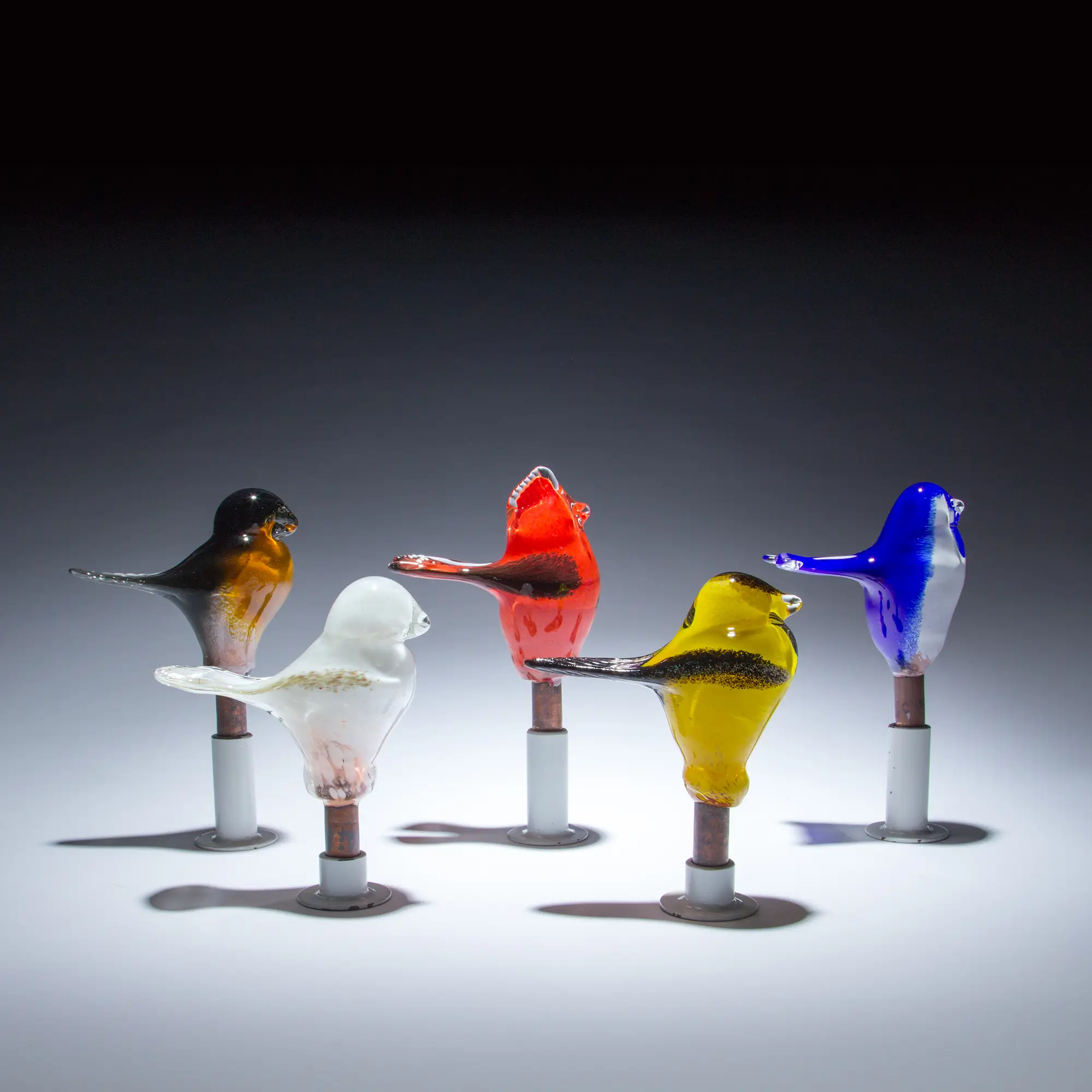 Birds of Beauty for the Garden