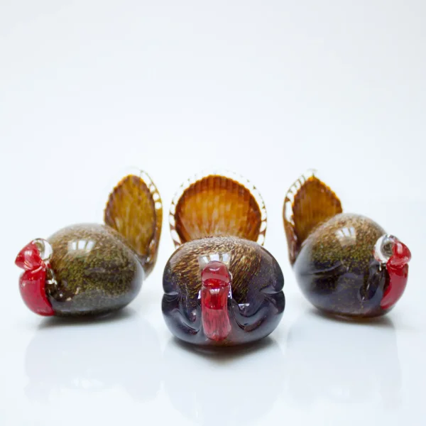 Birds of Beauty - The Abundant Turkey