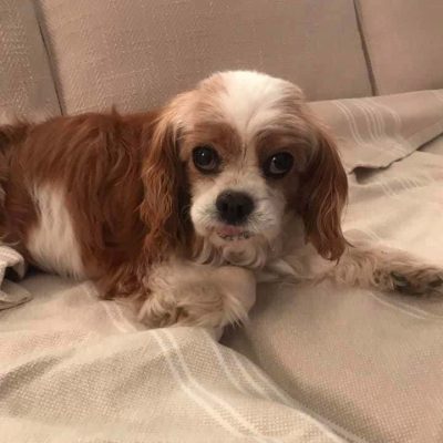 125933515_10218035152538370_5313497692938119351_n.jpg 125933515_10218035152538370_5313497692938119351_n.jpg