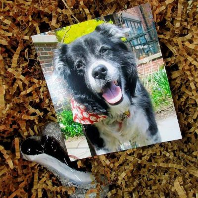 AlexEpiphTestiB11132020.jpg AlexEpiphTestiB11132020.jpg